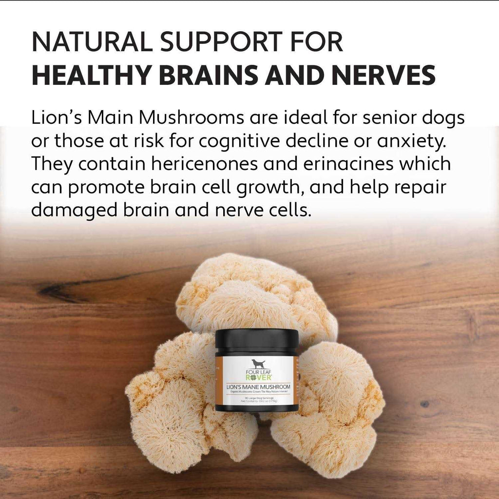 Organic Mushroom Extract for Dogs G502