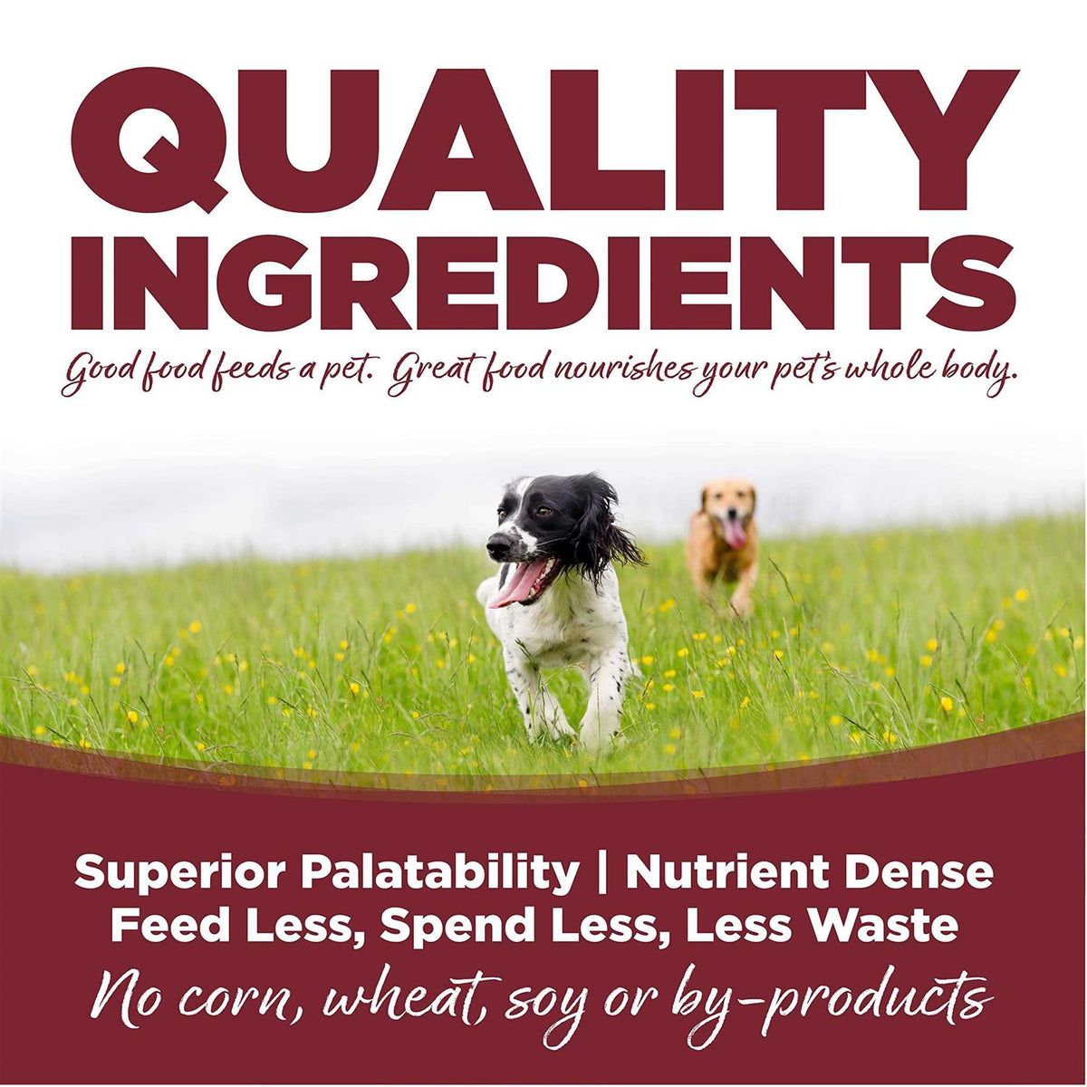 Beef Rice Dry Dog Food J622604