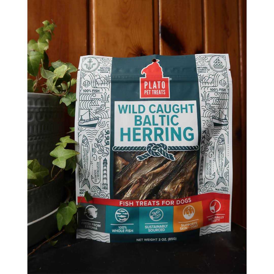Baltic Herring Dog P9536