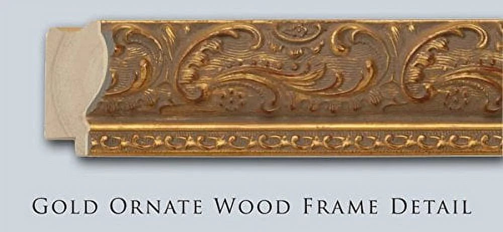 Framed Art Print Z67975