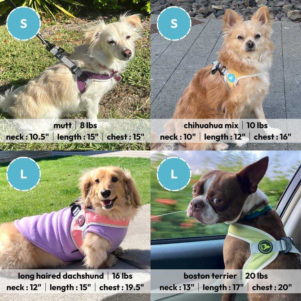 Step-In Dog Harness J263