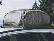 Roof Cargo Carrier Vinyl Z38515