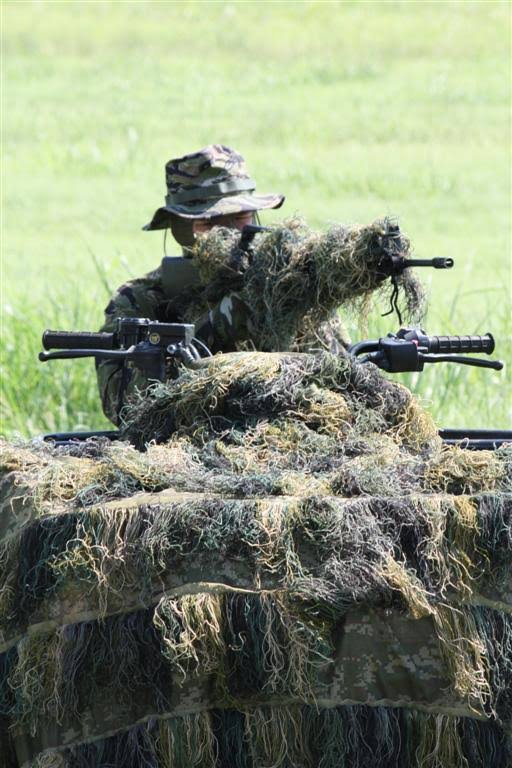 Woodland Camouflage Netting H251