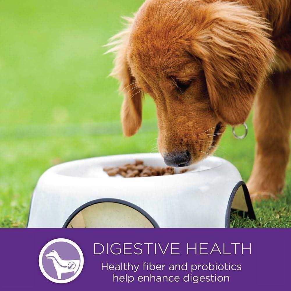 Small Breed Dog Food R135344