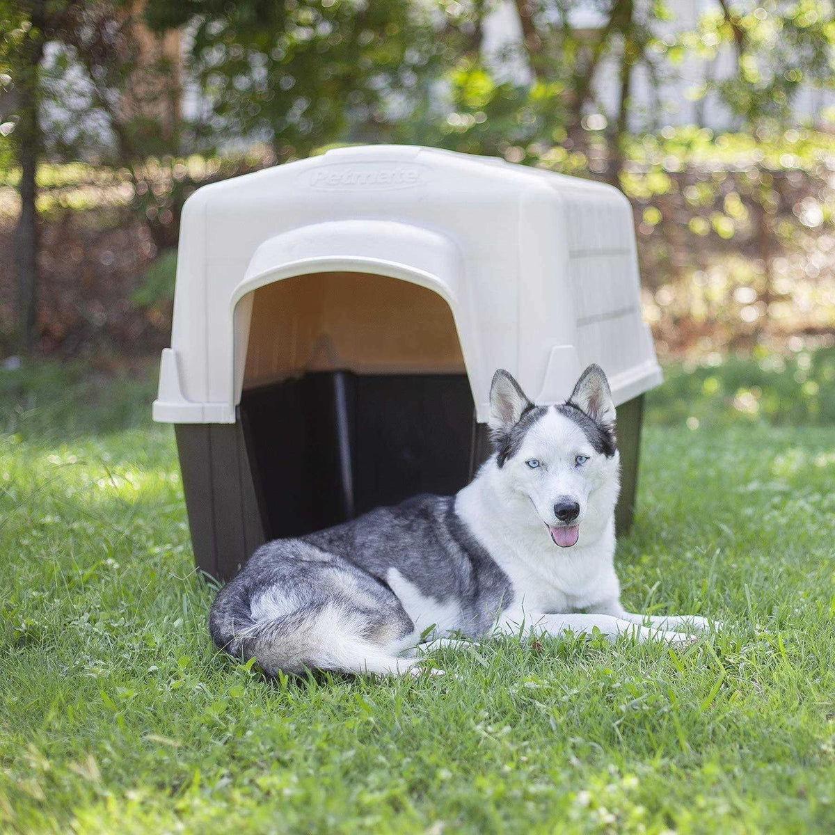 Dog House E8996