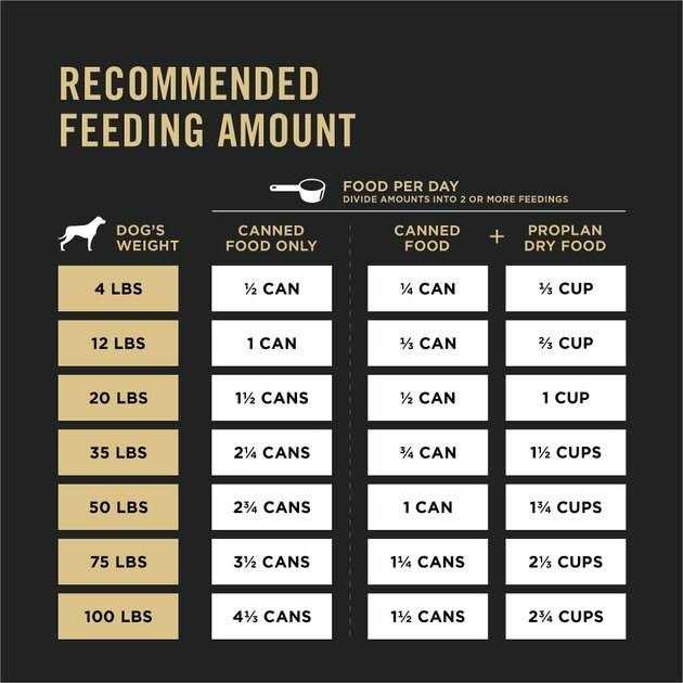 High Protein Wet Dog Food Y526