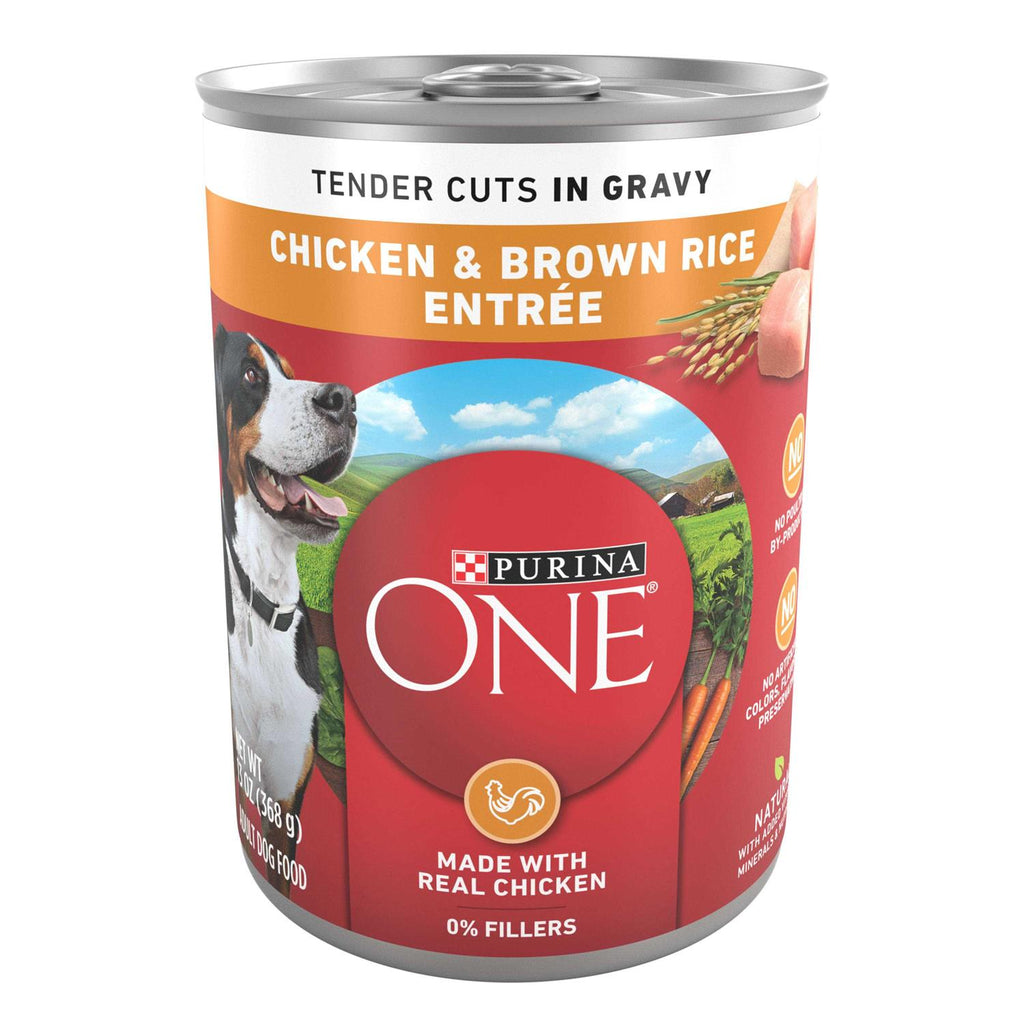 Chicken & Brown Rice Entrée Wet Dog Food X150009