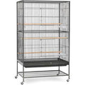 Black Wrought Iron Flight Cage with Stand K591