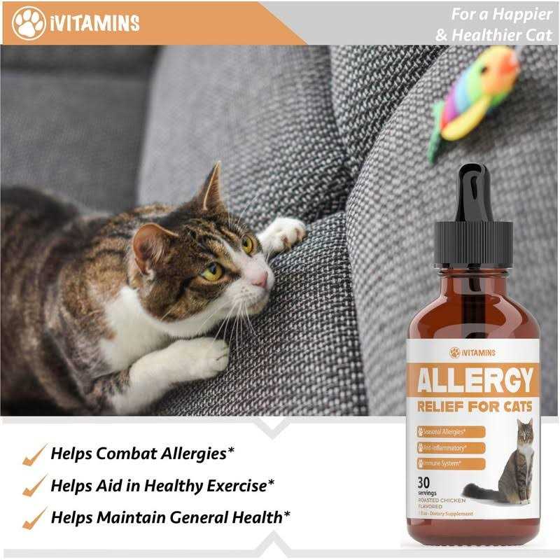 Allergy Relief for Cats W16160