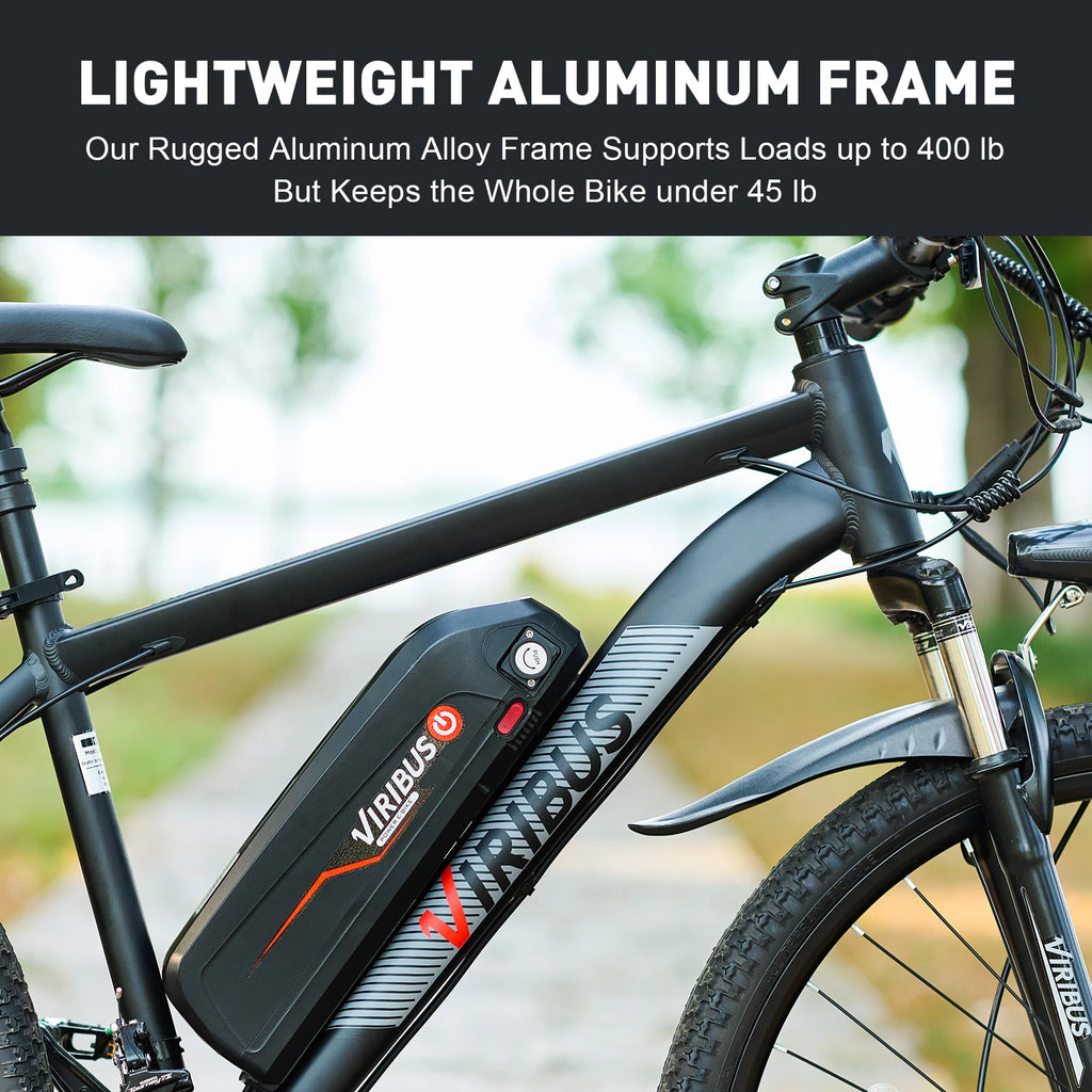Electric Mountain Bicycle 26" 350W 48V Lithium Battery Black R2248