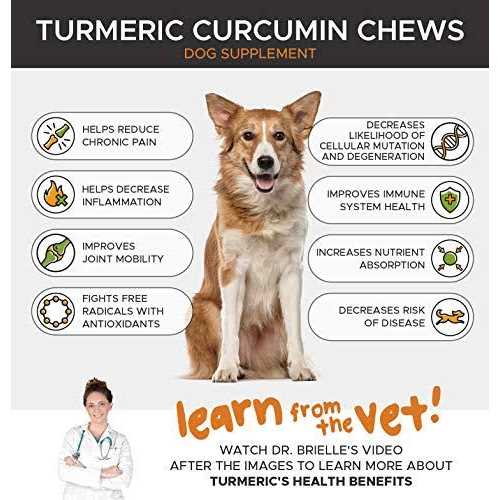 Dog Hip + Joint Health Turmeric Chews O469629