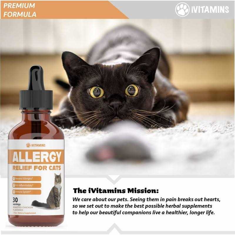 Allergy Relief for Cats W16160