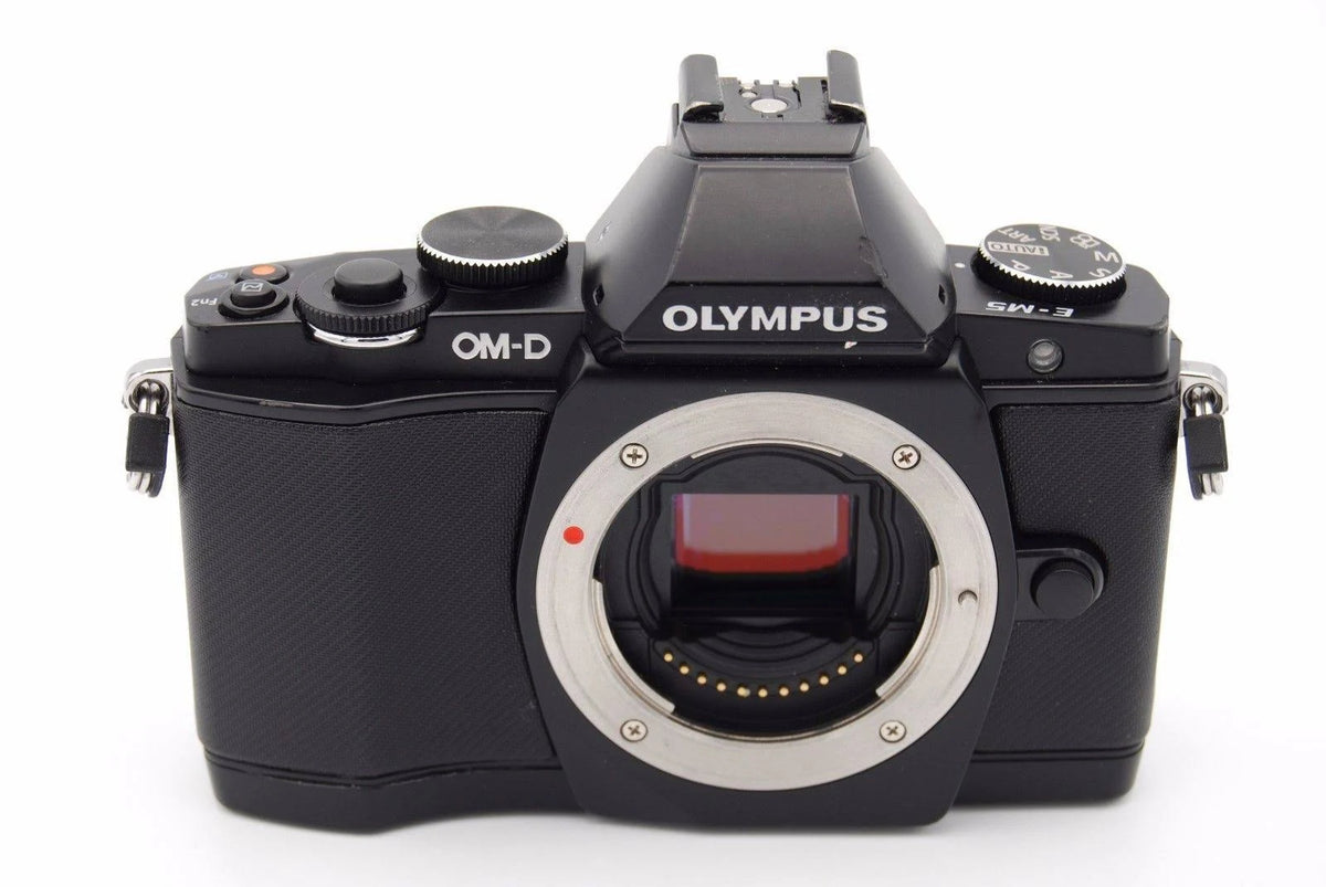 Black 16.1 MP Mirrorless Digital Camera Q45365