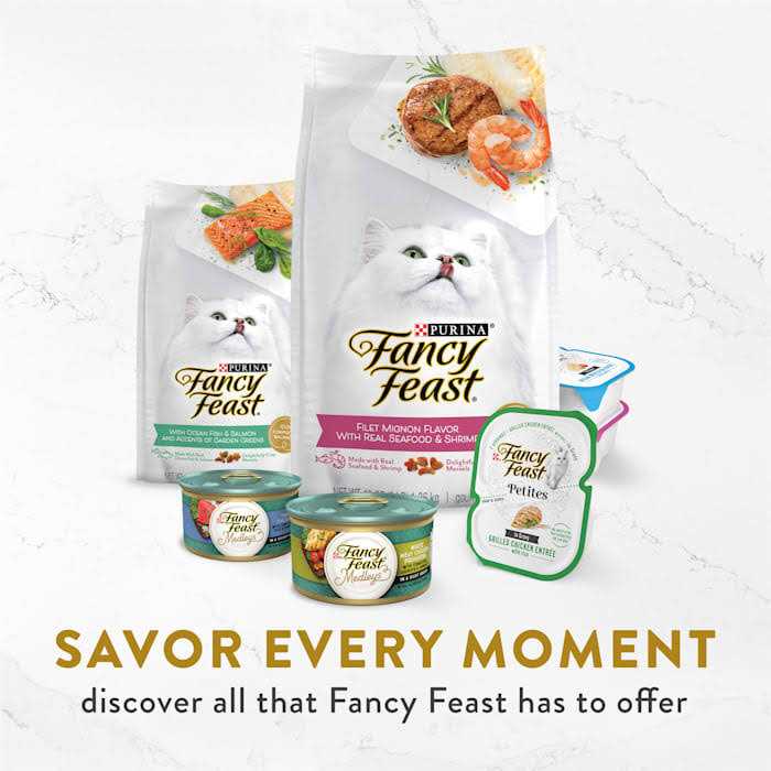 Wet Cat Food N41074