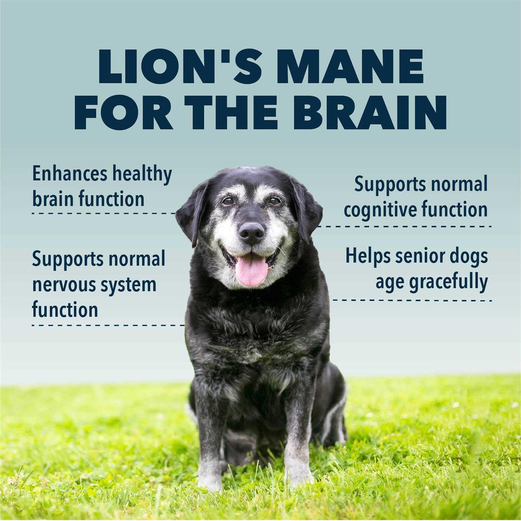 Organic Mushroom Extract for Dogs G502