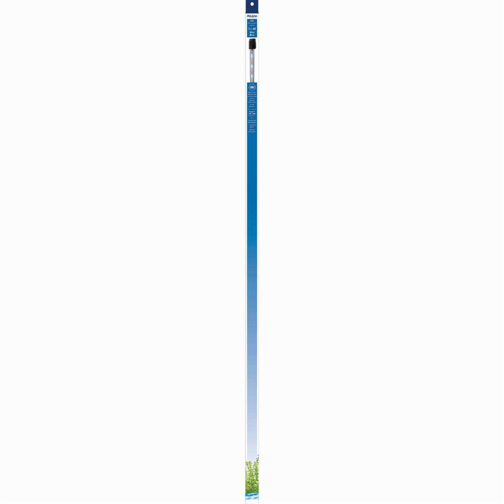 Blue LED Lamp K694
