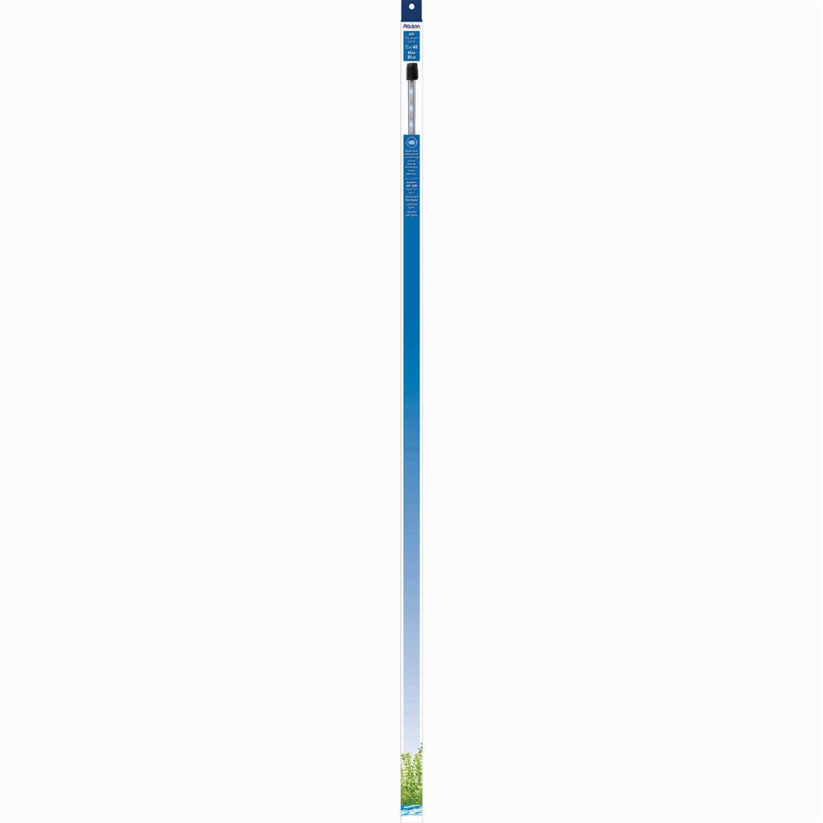 Blue LED Lamp K694