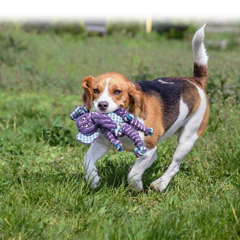 Elephant Dog Toy J452193