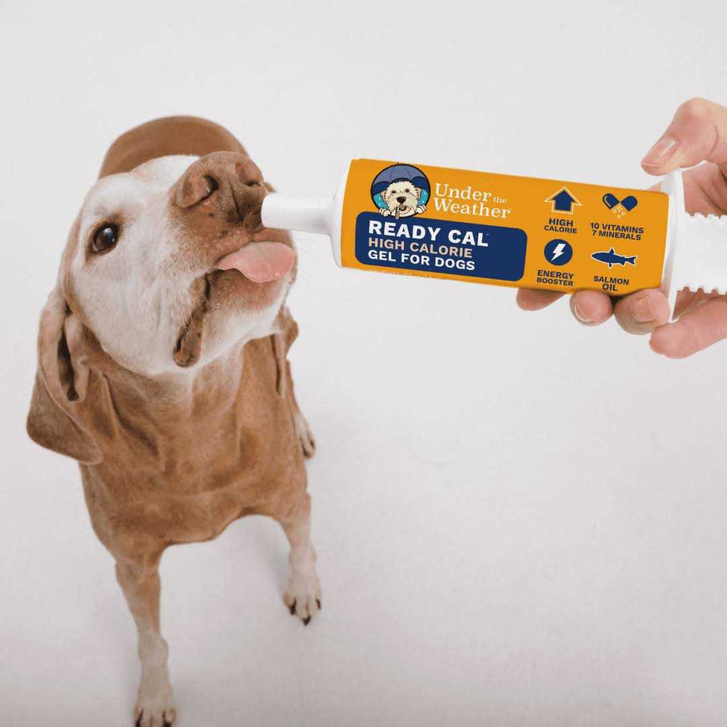 Ready Cal for Dogs A7526