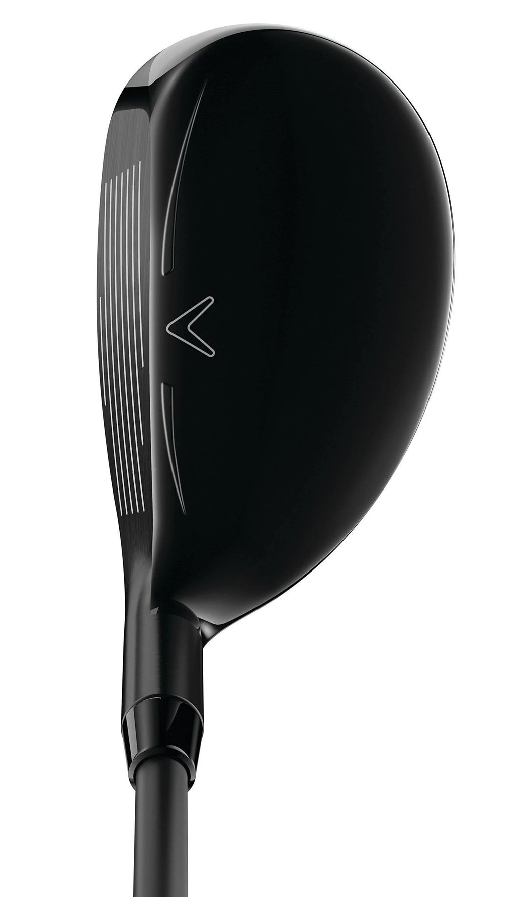 Rogue Hybrid S558428