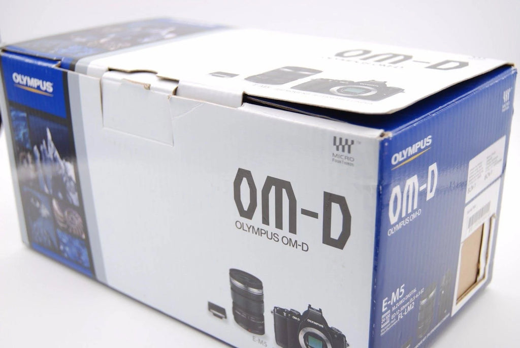 Black 16.1 MP Mirrorless Digital Camera Q45365