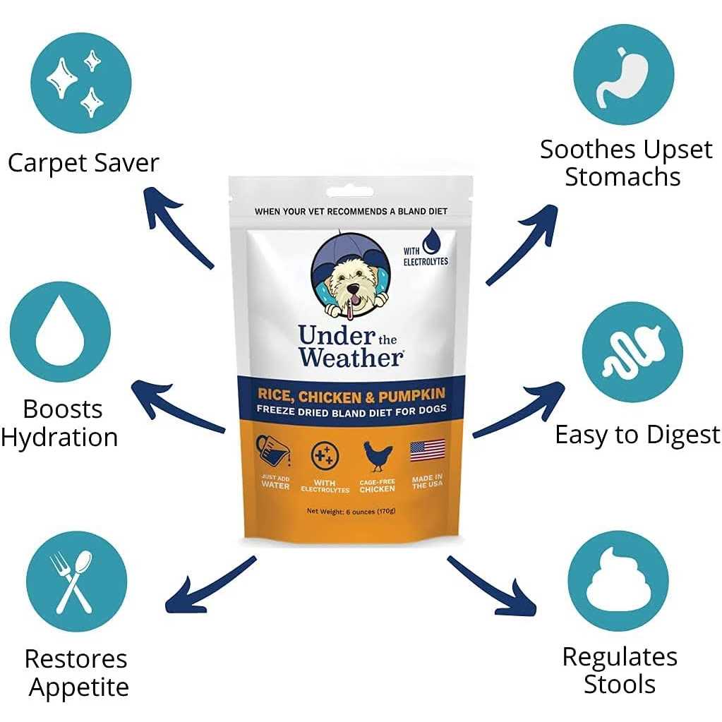 Chicken & Rice Bland Diet for Dogs H1728