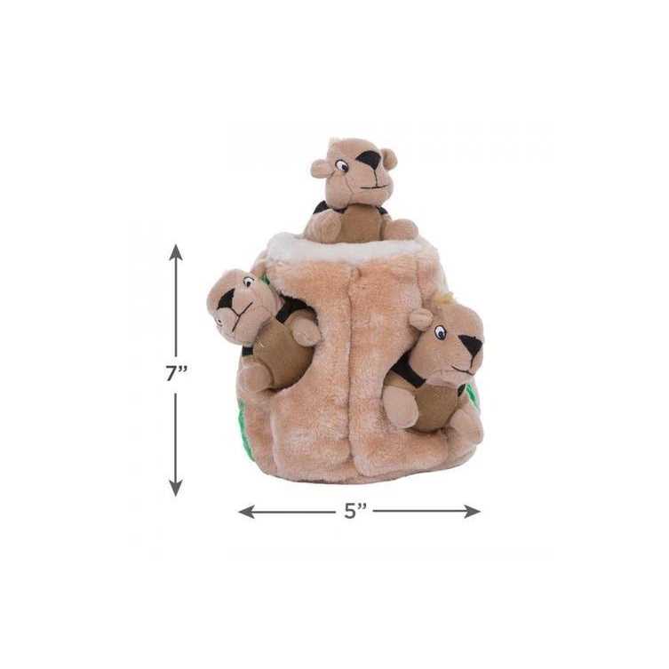 Hide A Squirrel Dog Toy T3735