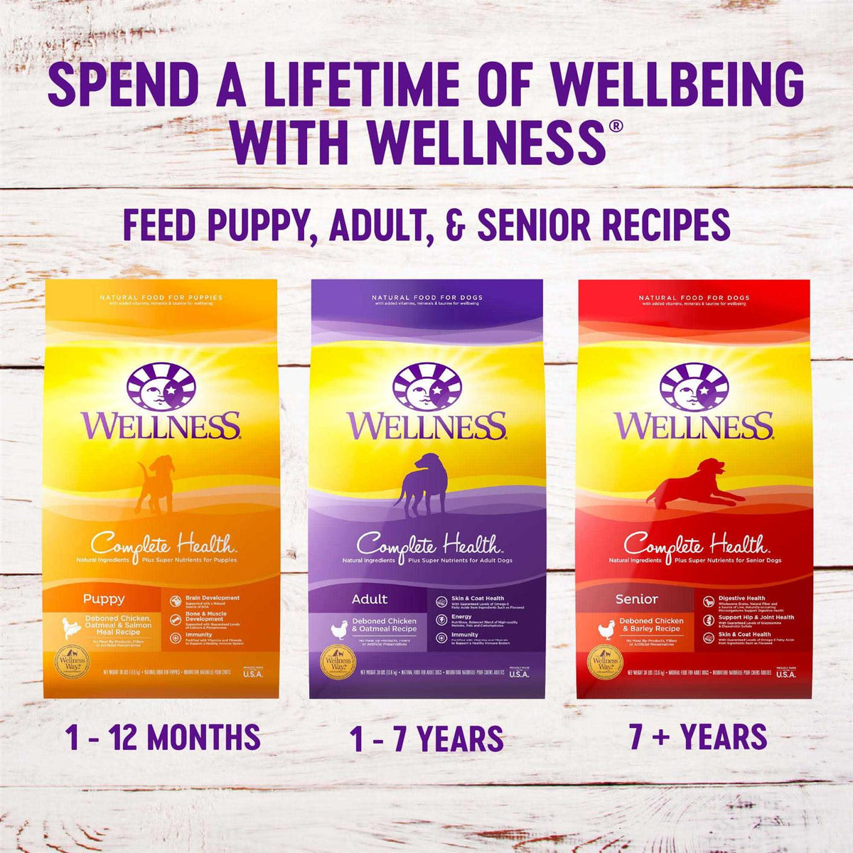 Small Breed Dog Food R135344