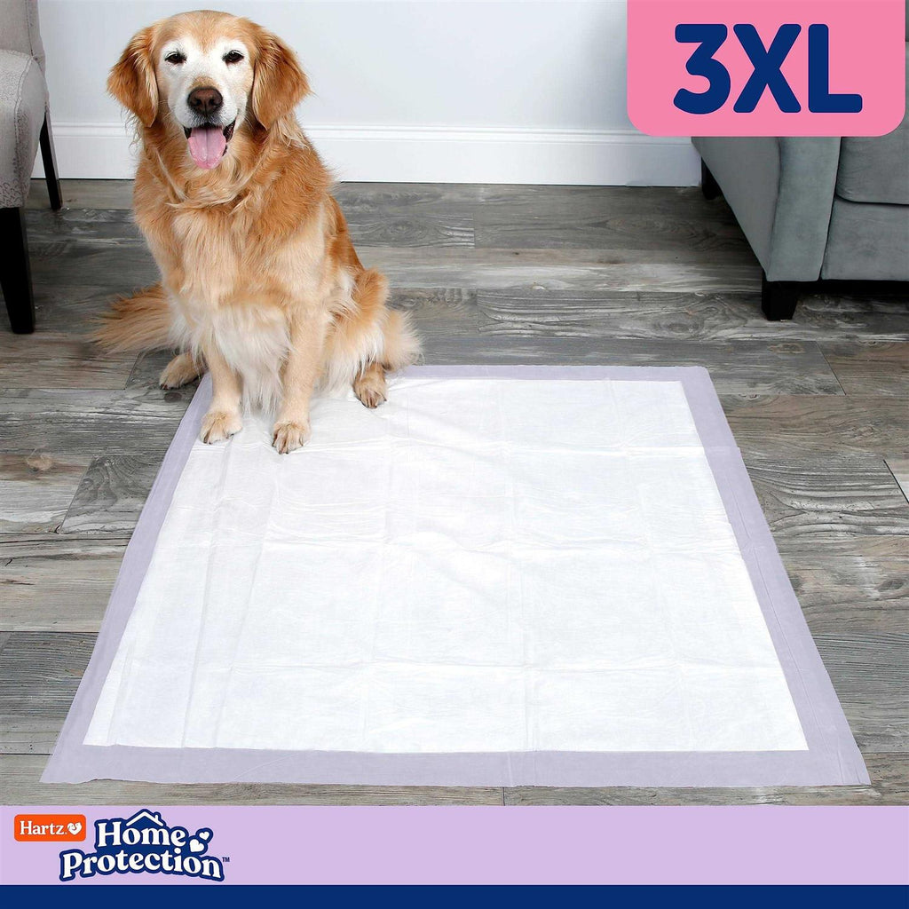 Lavender Scent Odor Eliminating Dog Pads D733881