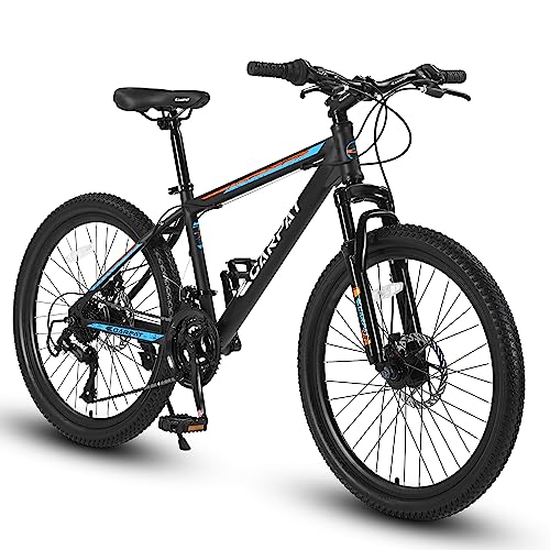 Mountain Bike with 21 Speeds Mechanical Disc Brakes N4865