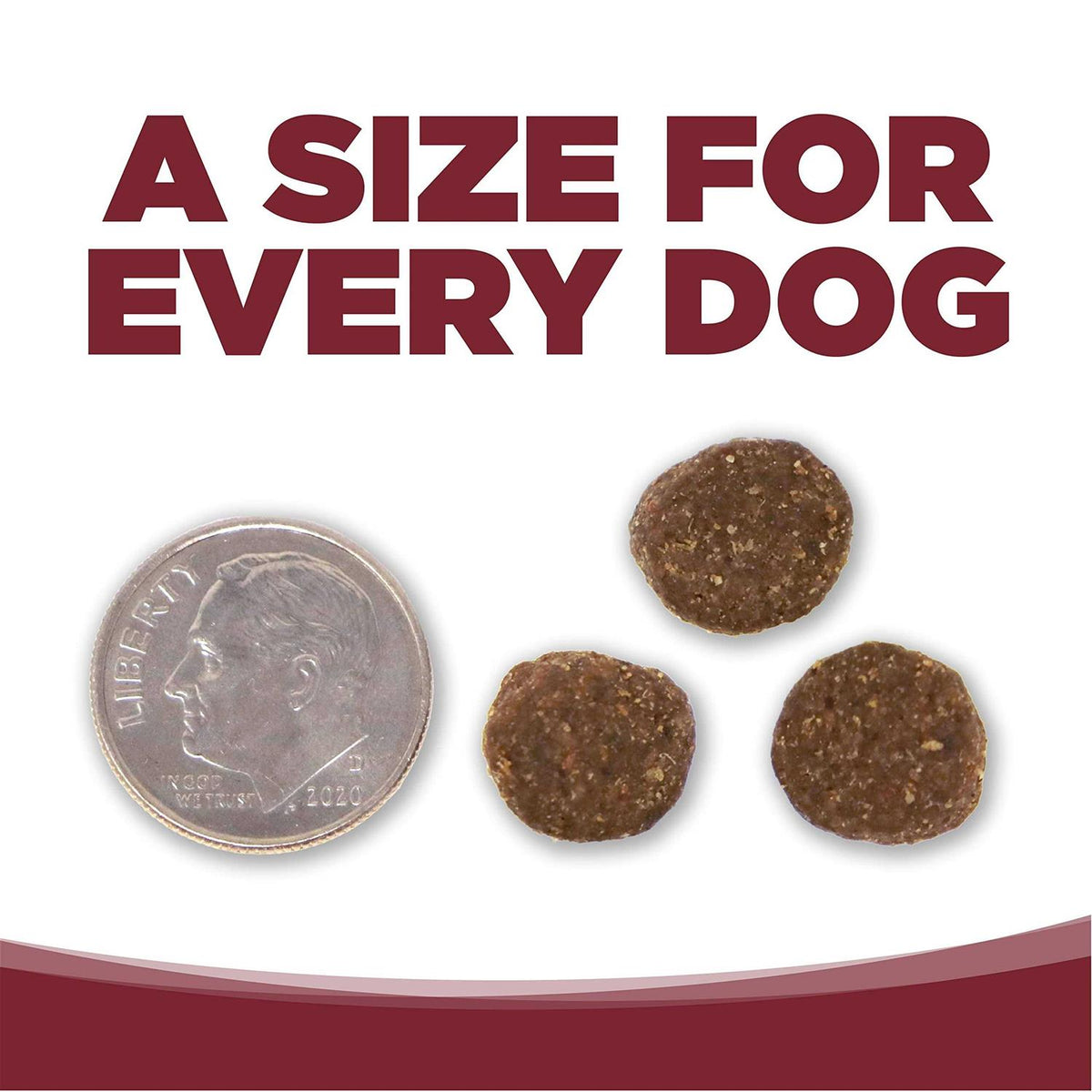 Beef Rice Dry Dog Food J622604