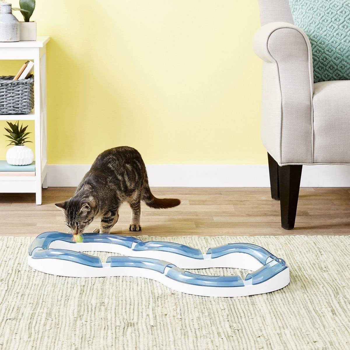Super Roller Circuit Cat Toy J302729