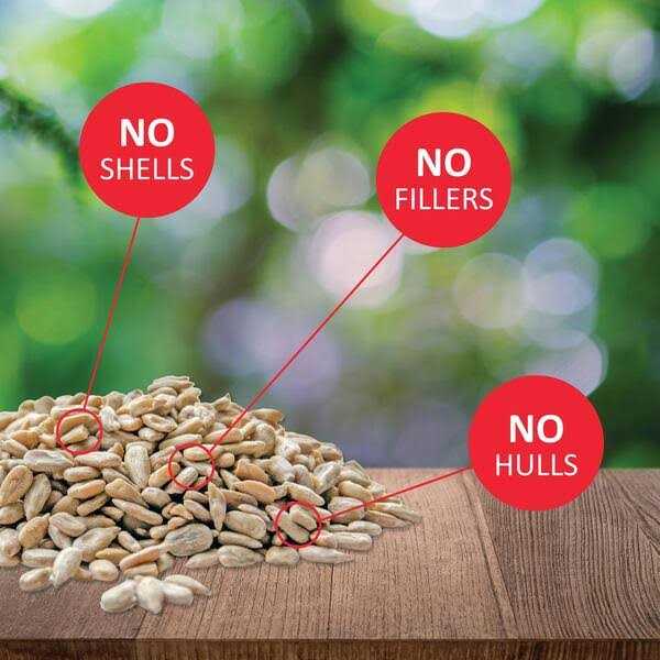 Sunflower Kernels Q5233