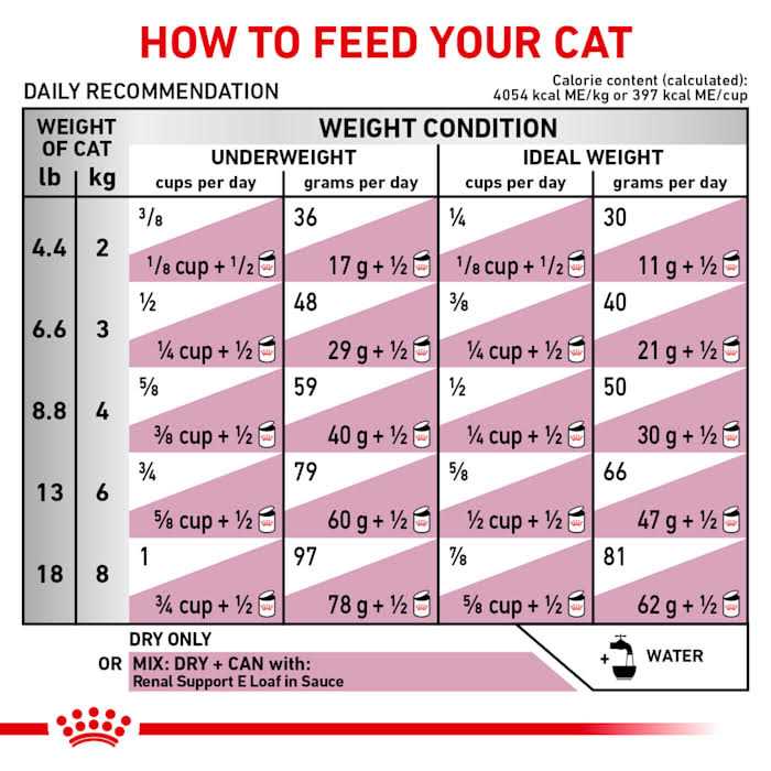 Dry Cat Food O7359