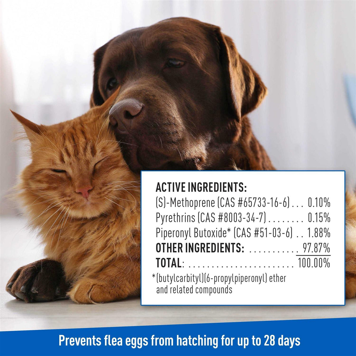 Flea Tick Shampoo X330