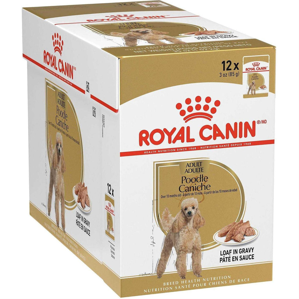 Loaf in Gravy Dog Food Y1598