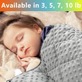 3 lb 36x48 Polyester Minky Weighted Blanket M7147