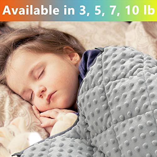 3 lb 36x48 Polyester Minky Weighted Blanket M7147