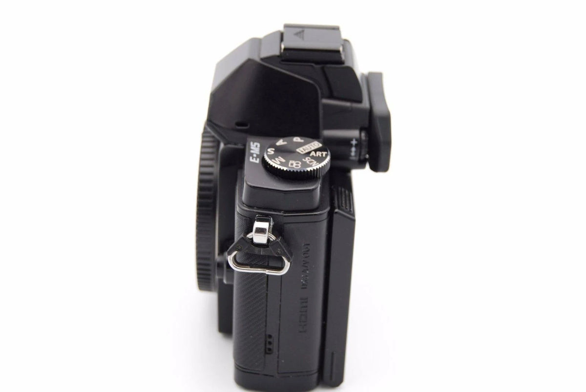 Black 16.1 MP Mirrorless Digital Camera Q45365