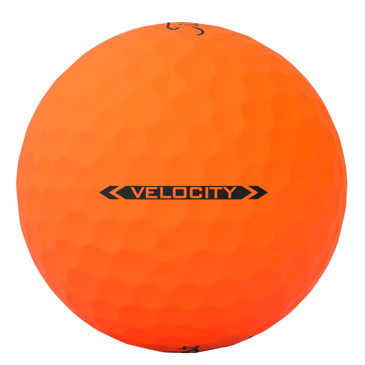 2022 Velocity Golf Balls, 12 Pack, White Z102559