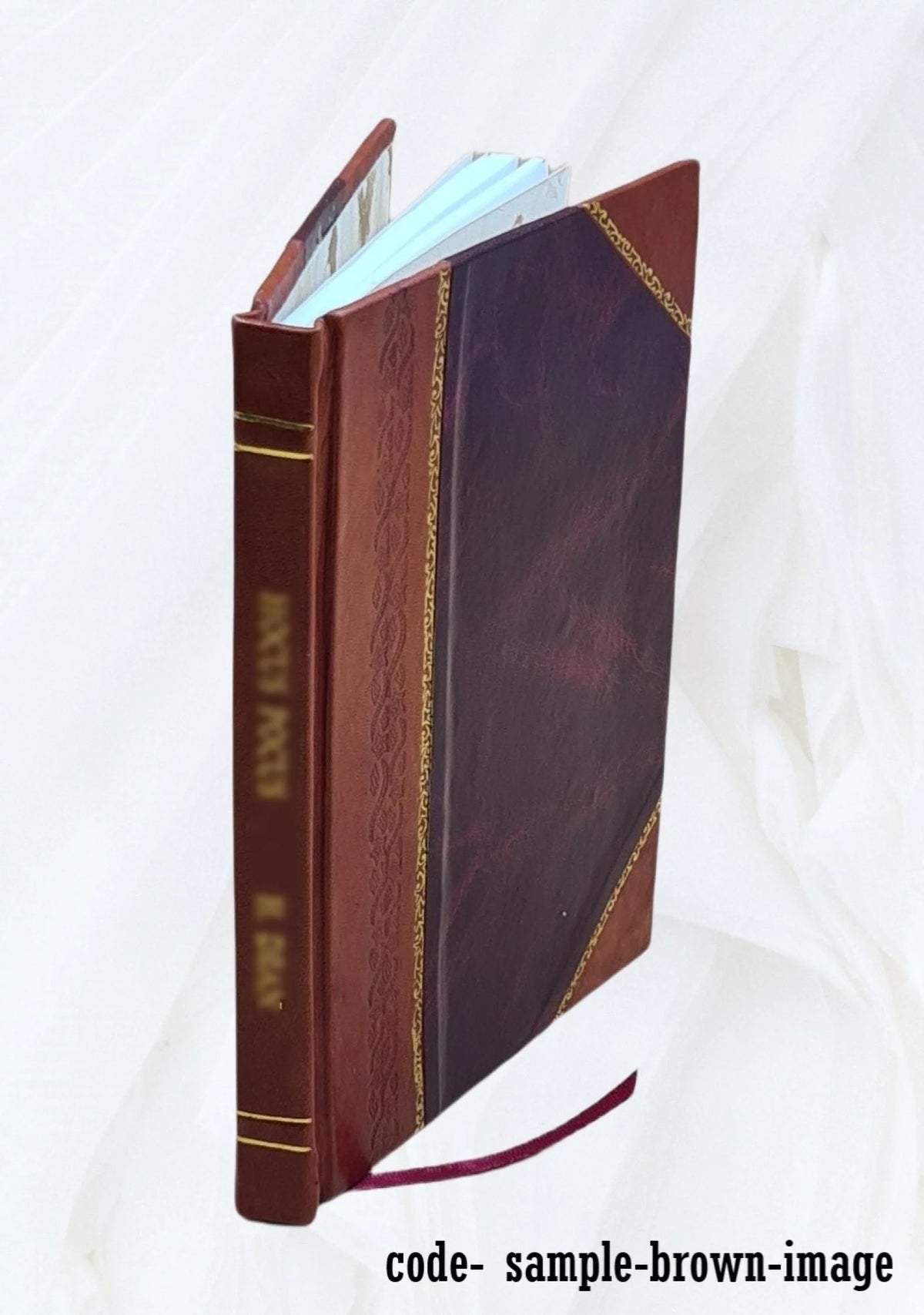 Leather Bound Book U332341