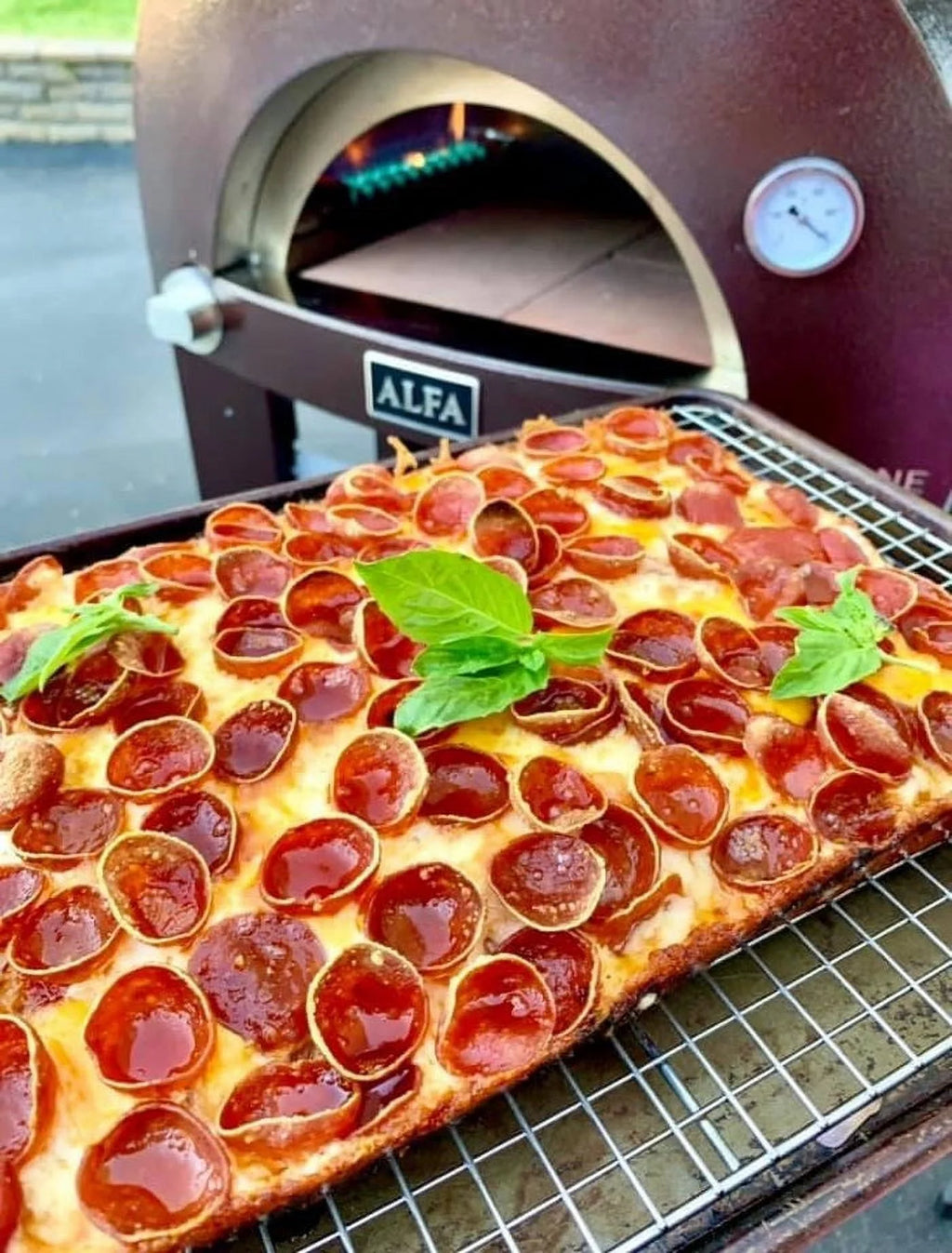 Gas or Wood Fire Hybrid Pizza Oven J757250