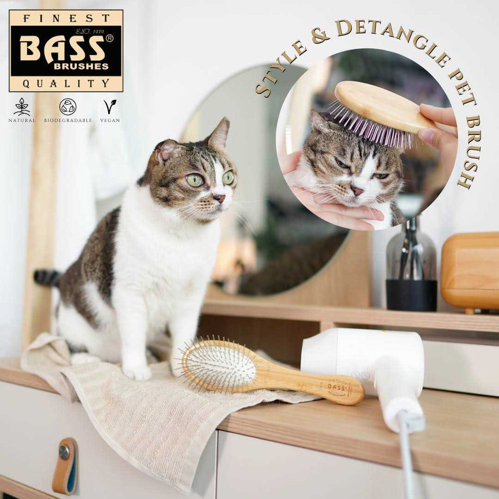 Pet Brush O87404