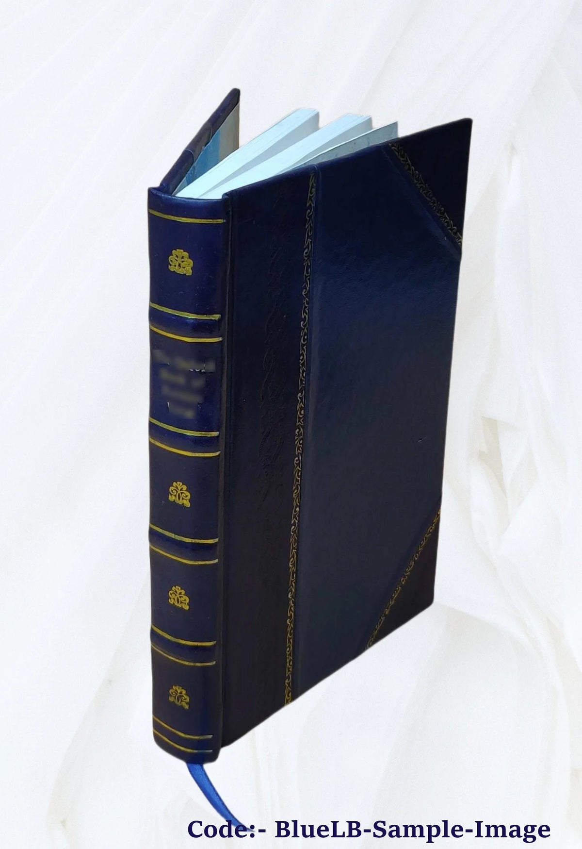 Leather Bound Book N88056