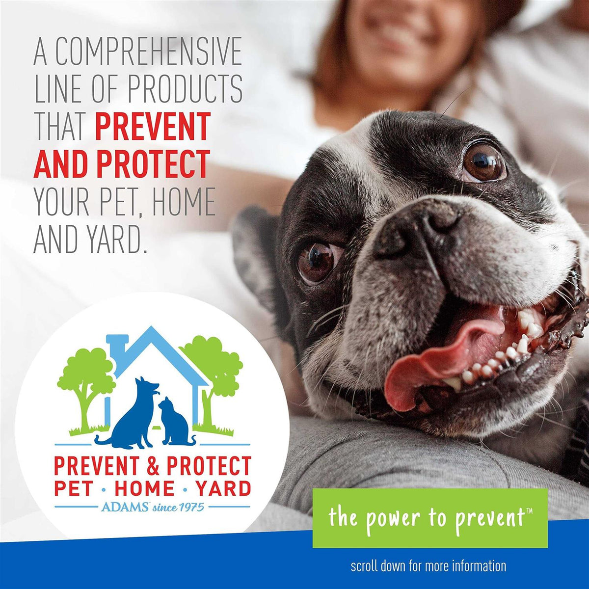 Flea Tick Shampoo X330