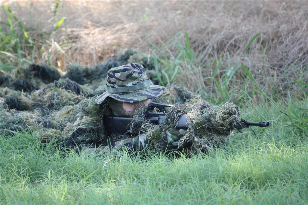 Woodland Camouflage Netting H251