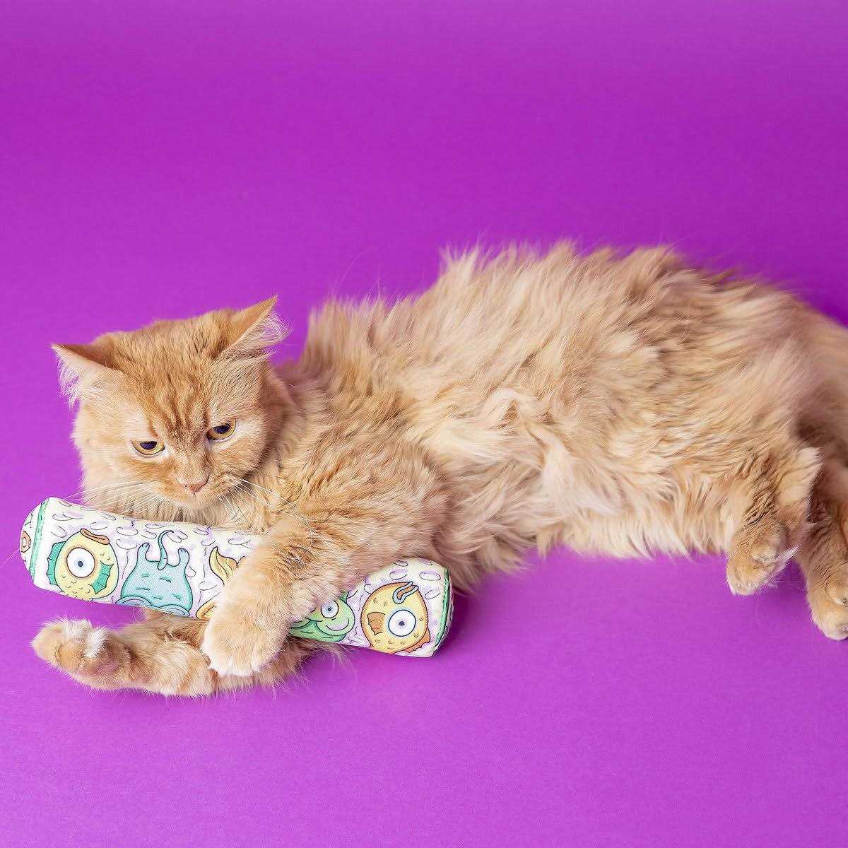 Gold Fish Cat Toy I817163