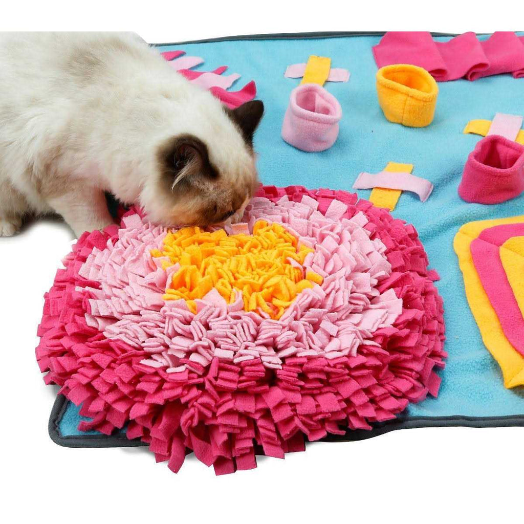 Interactive Feeding Snuffle Mat B527405
