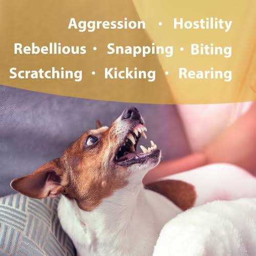 Flower Essences Pet Supplies F749