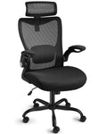High Back Mesh Ergonomic Office Chair with Lumbar Support & Headrest W701960